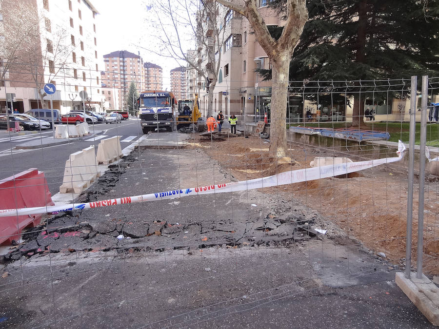 Fotos: Un centenar de árboles adornarán tres calles sin sombra de Parquesol