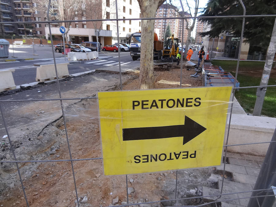 Fotos: Un centenar de árboles adornarán tres calles sin sombra de Parquesol