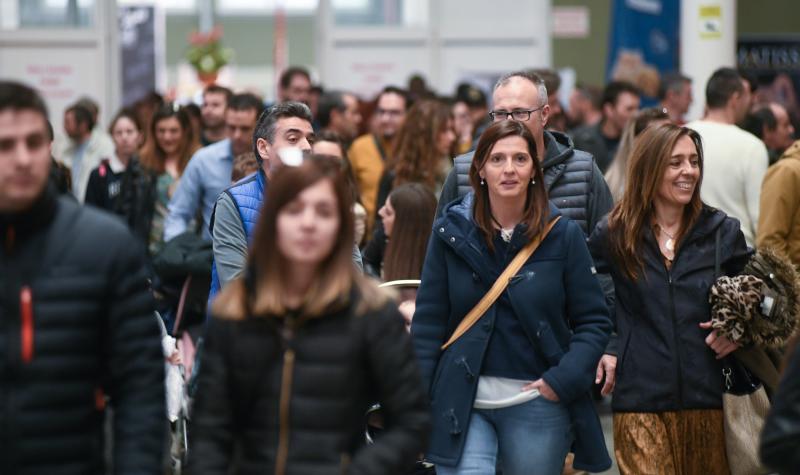 La Feria de Valladolid celebra este fin de semana una nueva edición de Fimascota, la feria de los animales de compañía, un evento en el que se desarrollan actividades para profesionales y público como los concursos nacionales e internacionales caninos, felinos y de avicultura artística, el campeonato de peluquería canina o las exposiciones de conejos de raza y de fauna exótica.