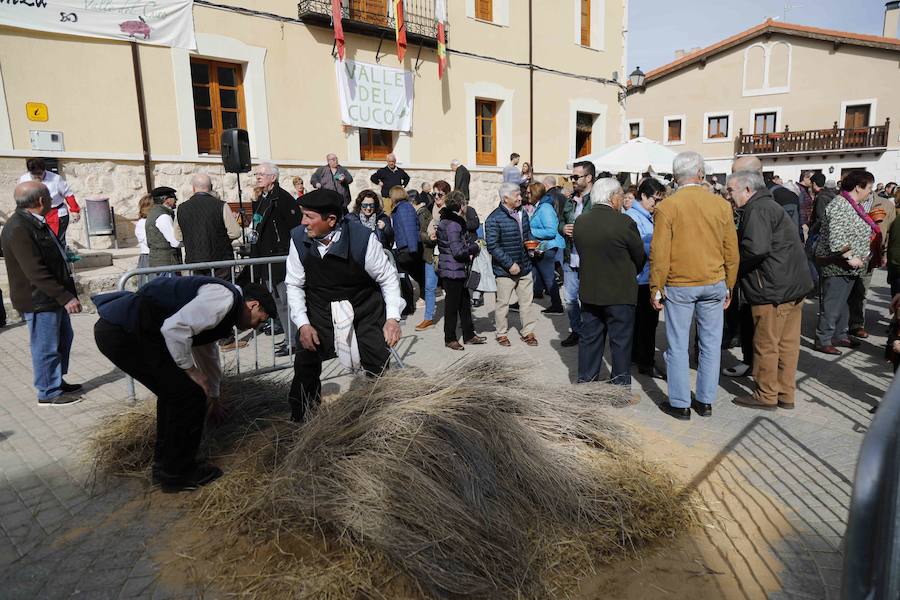 Fotos: XI Jornada de y Vino de la Ribera de Duero en el Valle del Cuco
