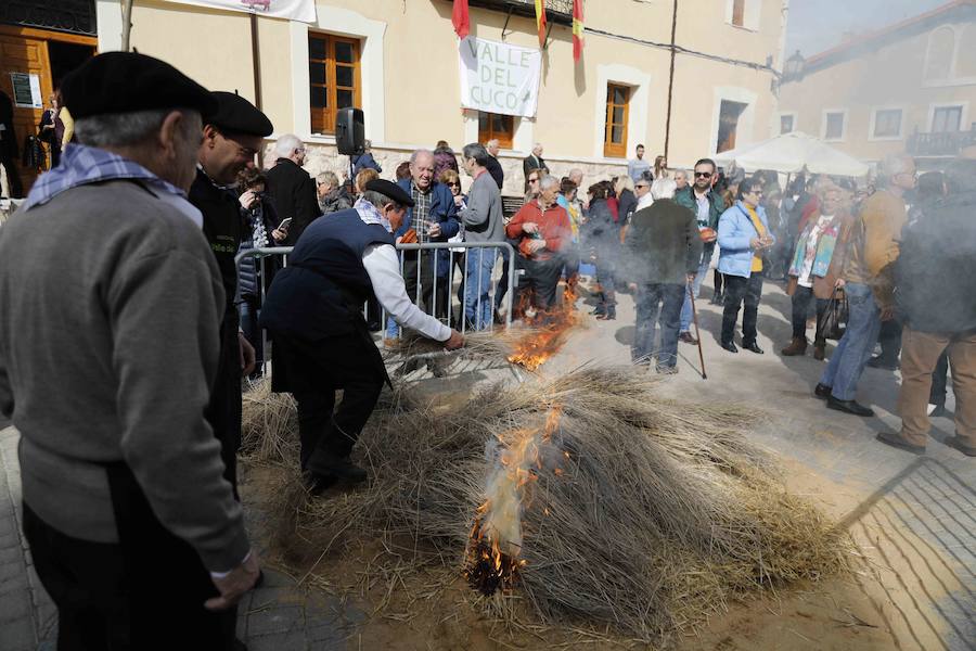 Fotos: XI Jornada de y Vino de la Ribera de Duero en el Valle del Cuco