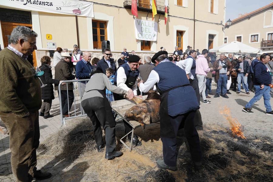 Fotos: XI Jornada de y Vino de la Ribera de Duero en el Valle del Cuco