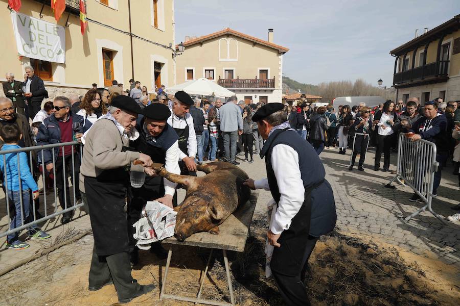 Fotos: XI Jornada de y Vino de la Ribera de Duero en el Valle del Cuco