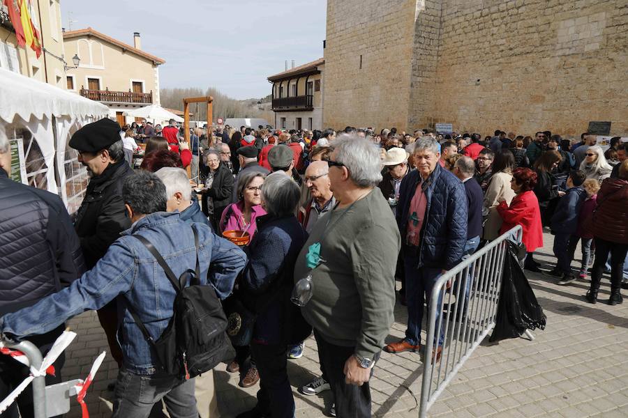 Fotos: XI Jornada de y Vino de la Ribera de Duero en el Valle del Cuco