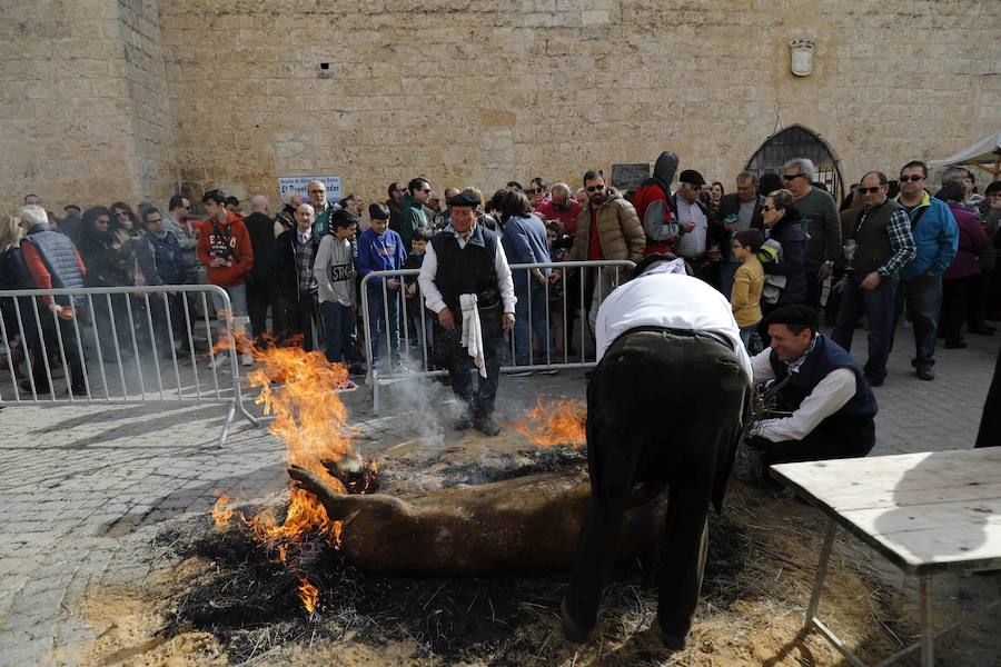 Fotos: XI Jornada de y Vino de la Ribera de Duero en el Valle del Cuco