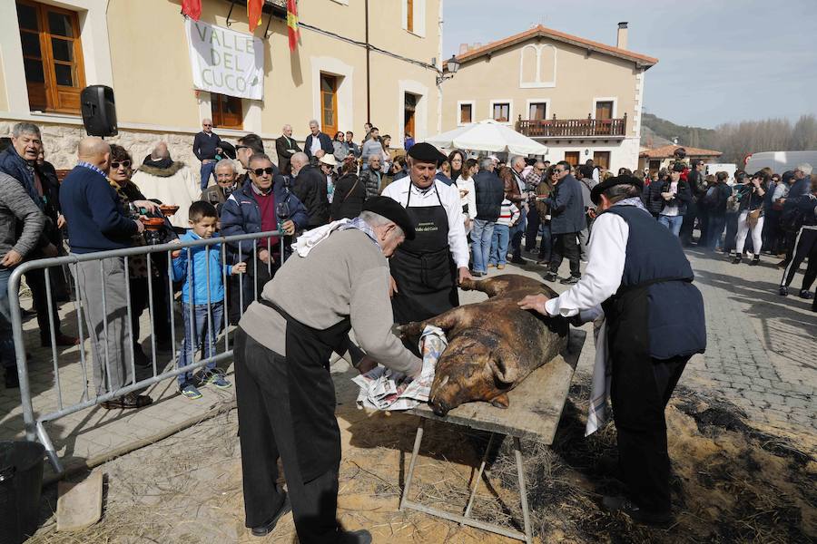 Fotos: XI Jornada de y Vino de la Ribera de Duero en el Valle del Cuco