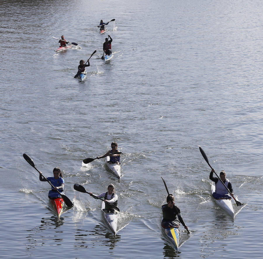 Fotos: Campeonato provincial de piragüismo en Torquemada