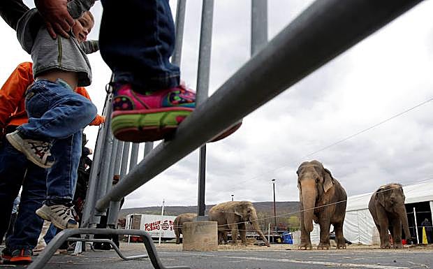 Niños subidos a una valle para ver los elefantes en un circo. 