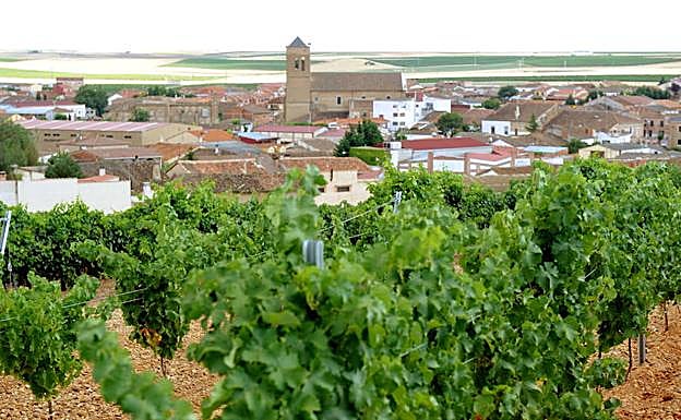 Viñedos con el municipio de La Seca al fondo. 