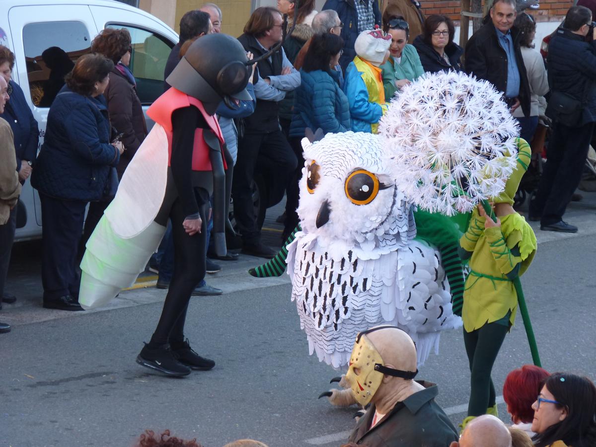 Celebración del Carnaval en Tudela de Duero