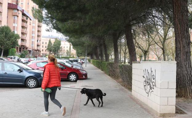 Calle Núñez de Guzmán El Pinciano, donde estaba el turismo estacionado. 