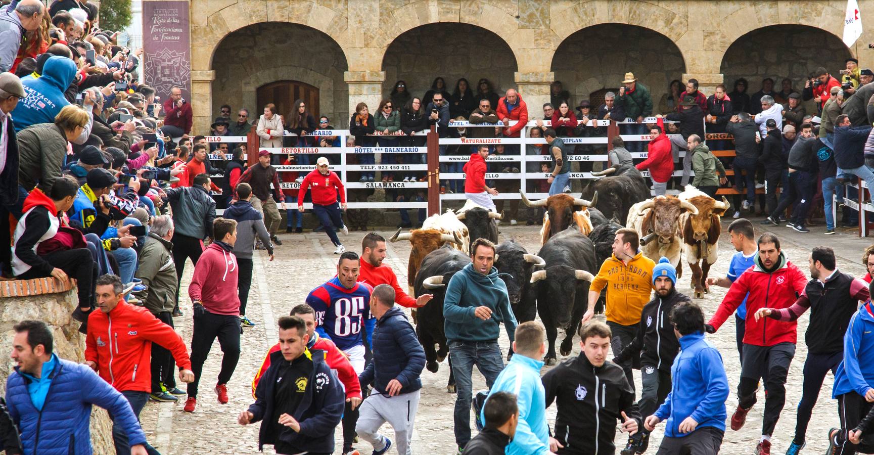 Fotos: Jornada del lunes en el Carnaval del Toro de Ciudad Rodrigo