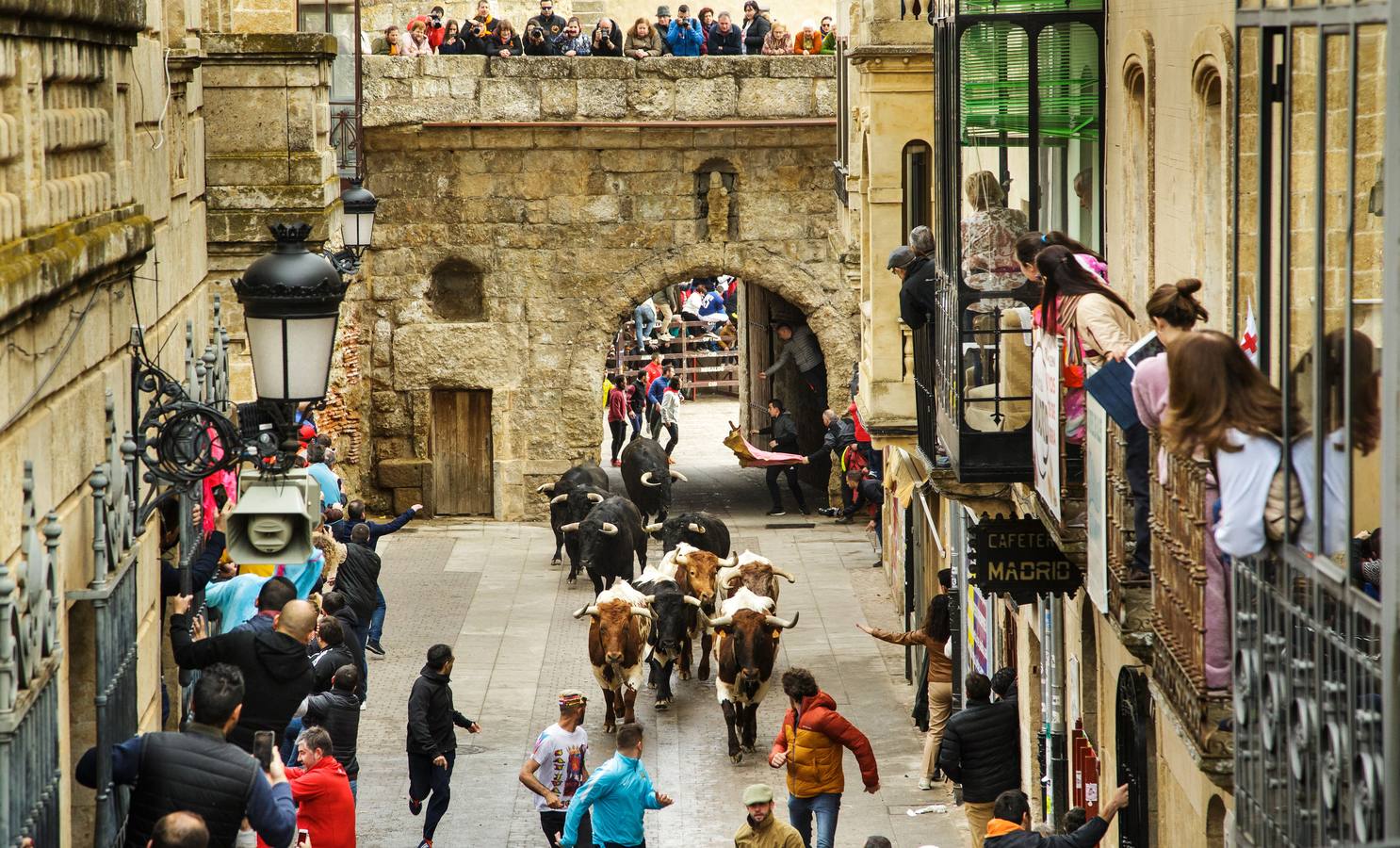 Fotos: Jornada del lunes en el Carnaval del Toro de Ciudad Rodrigo