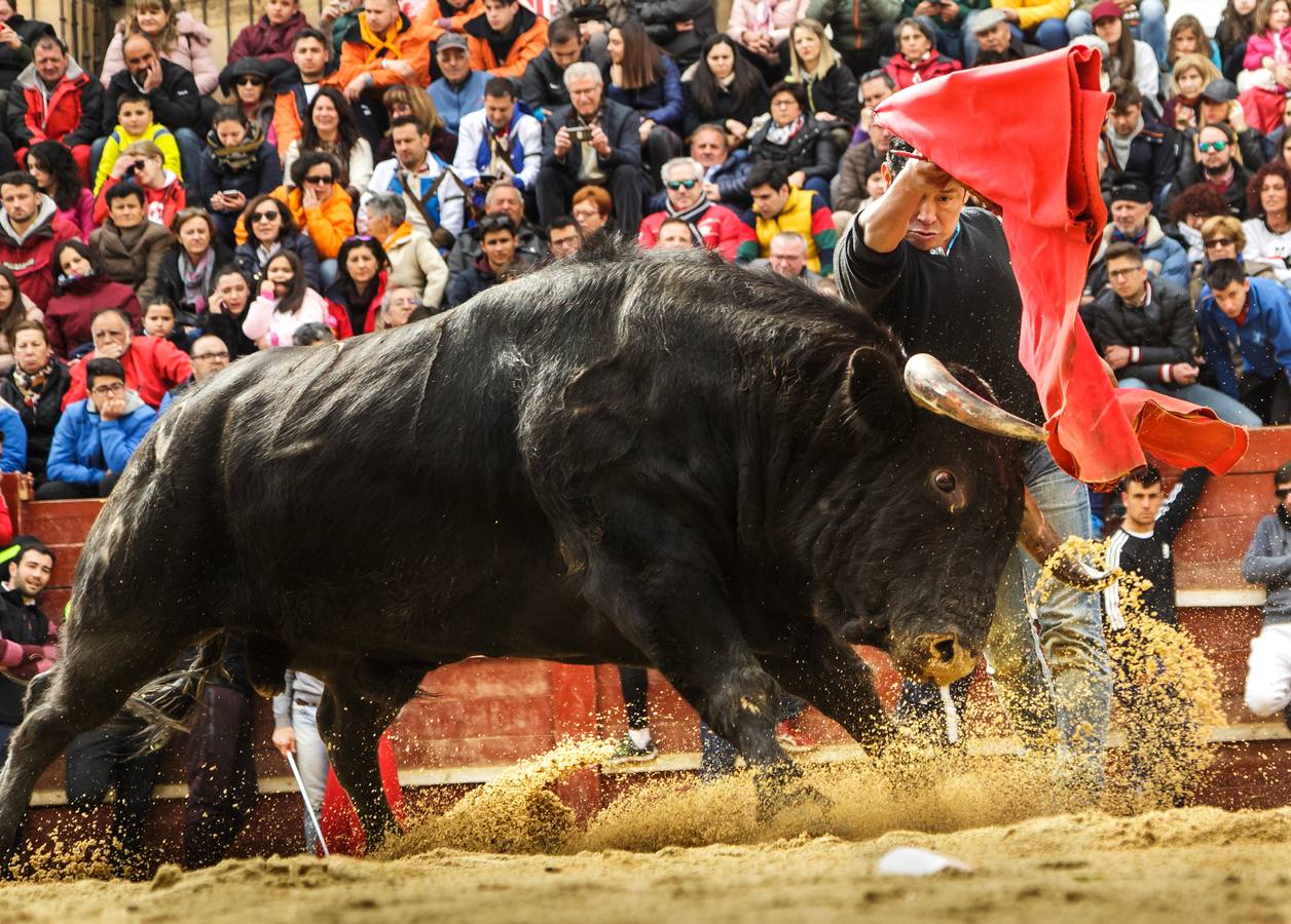 Fotos: Jornada del lunes en el Carnaval del Toro de Ciudad Rodrigo