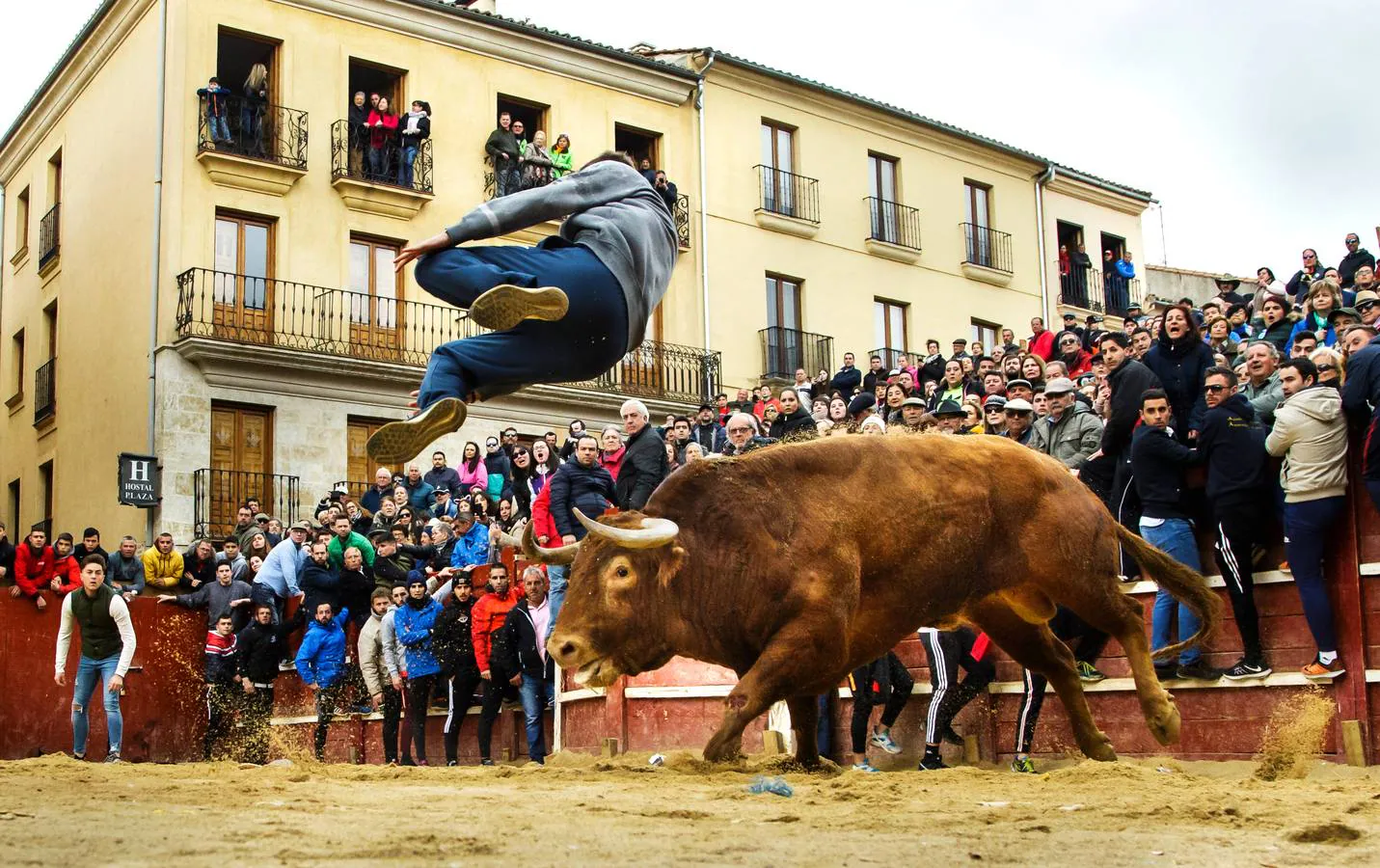 Fotos: Jornada del martes en el Carnaval del Toro de Ciudad Rodrigo (Salamanca)