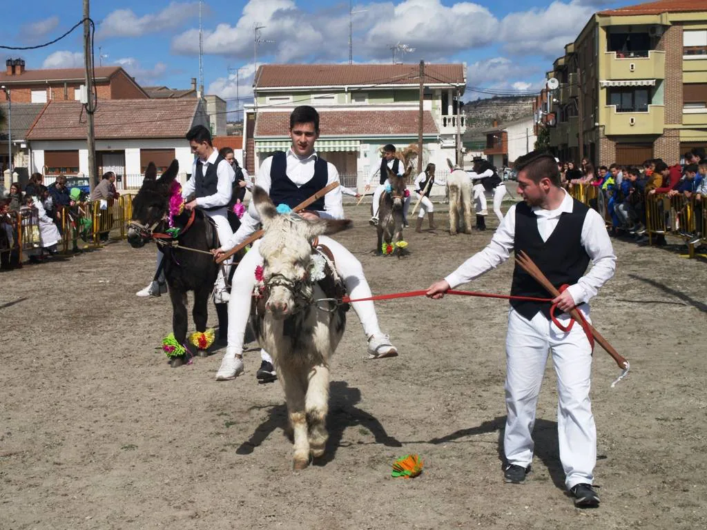 Fotos: Carrera de cintas en burro de los quintos en los carnavales de Pedrajas de San Esteban