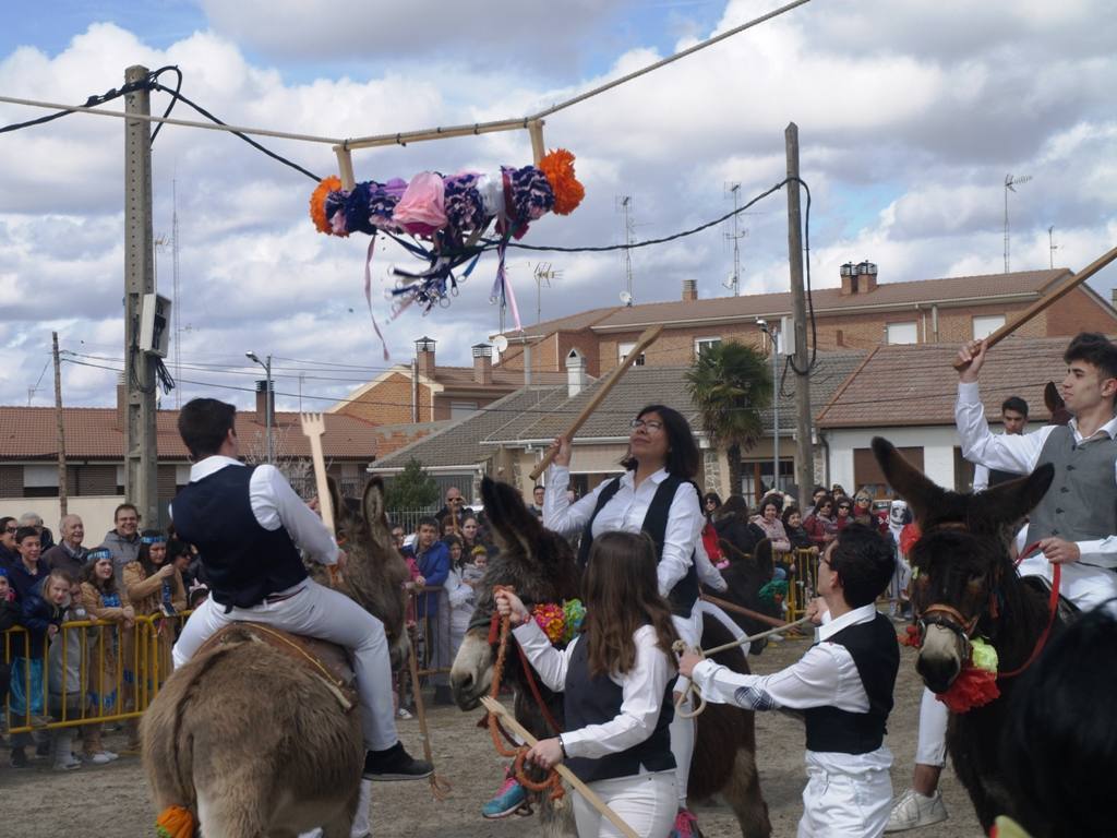 Fotos: Carrera de cintas en burro de los quintos en los carnavales de Pedrajas de San Esteban