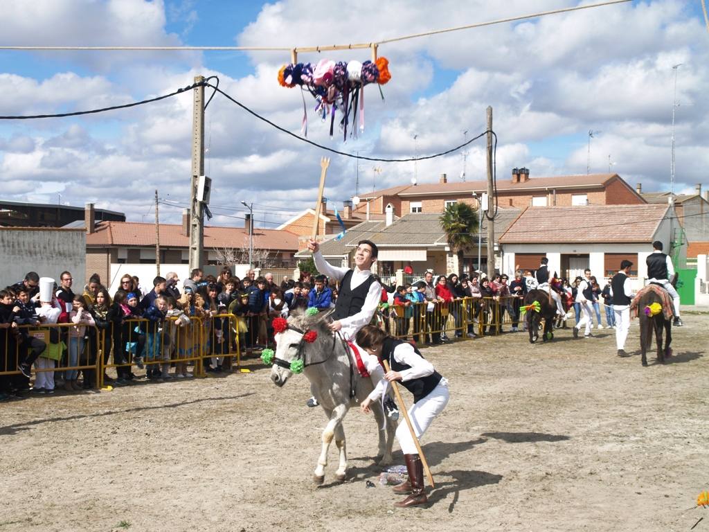 Fotos: Carrera de cintas en burro de los quintos en los carnavales de Pedrajas de San Esteban