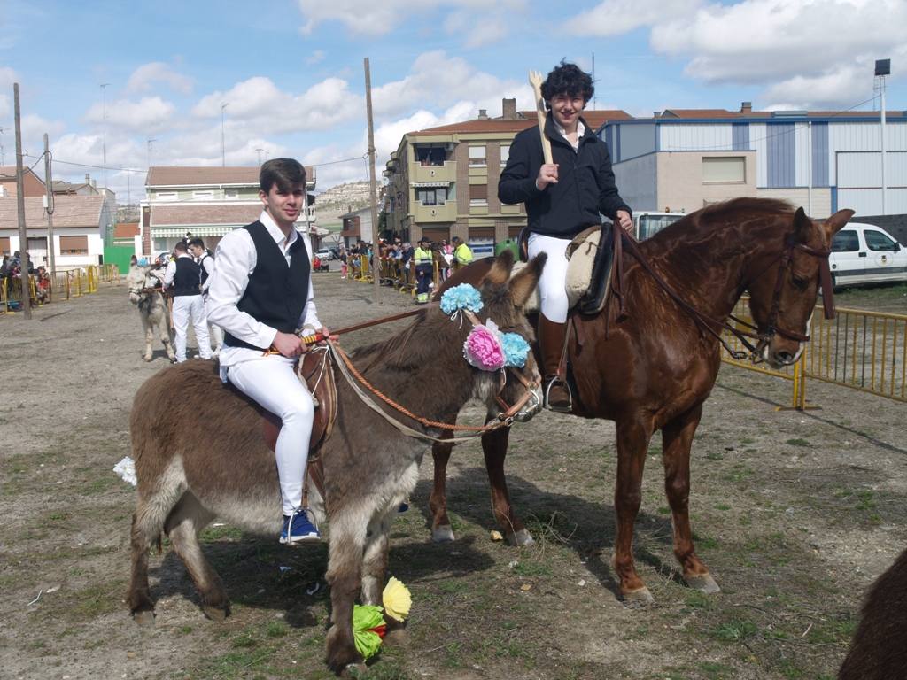 Fotos: Carrera de cintas en burro de los quintos en los carnavales de Pedrajas de San Esteban