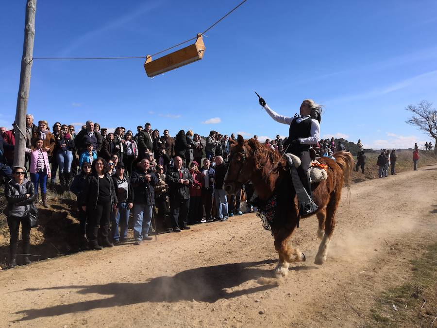 Fotos: Carrera de cintas de los quintos de Torrelobatón