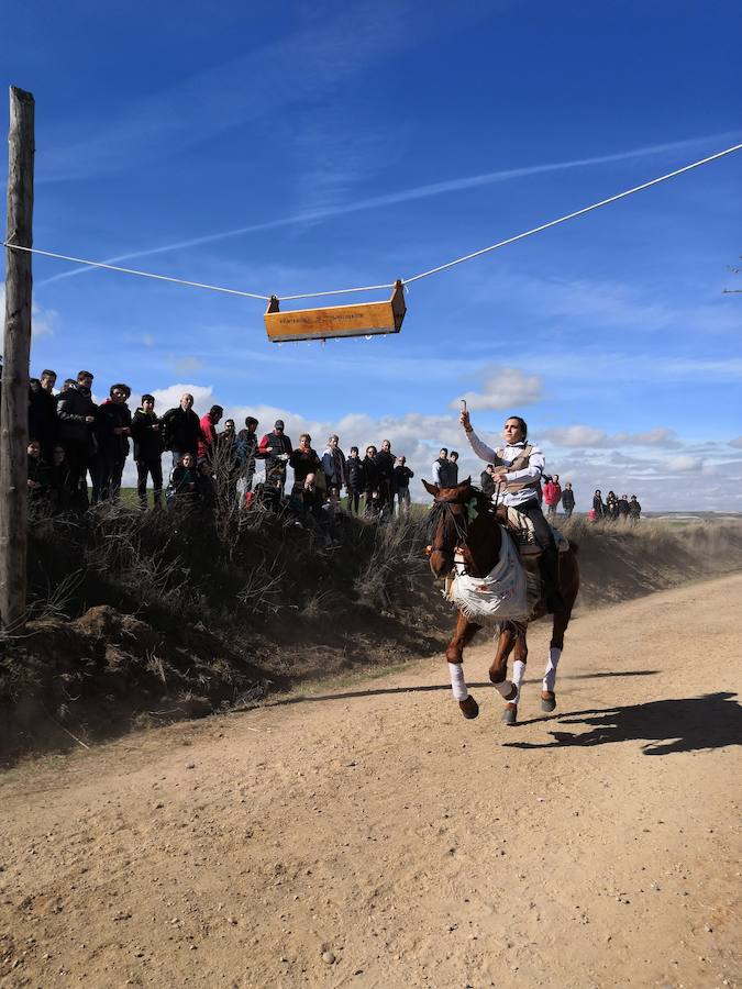 Fotos: Carrera de cintas de los quintos de Torrelobatón