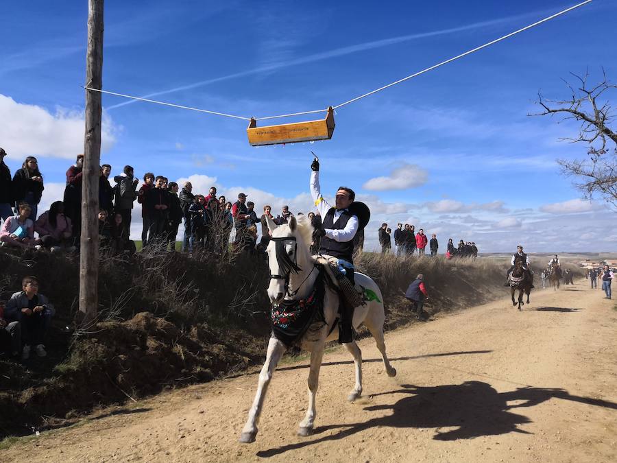Fotos: Carrera de cintas de los quintos de Torrelobatón