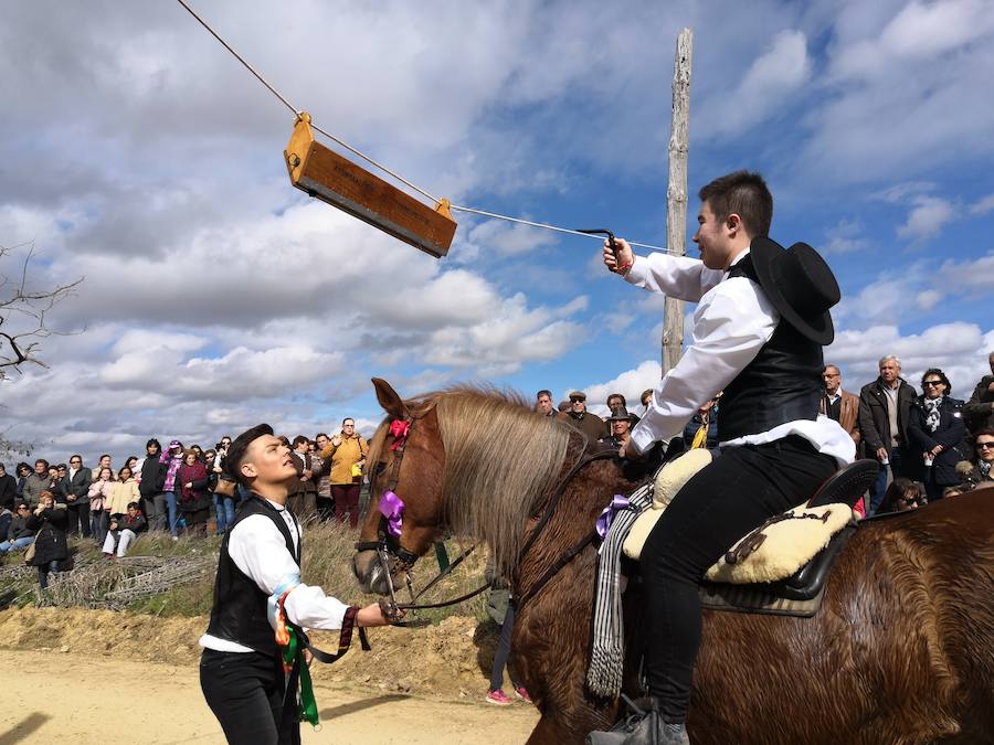 Fotos: Carrera de cintas de los quintos de Torrelobatón