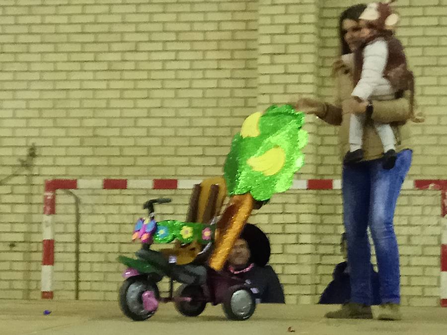 Fotos: Defile de Carnaval en Velilla