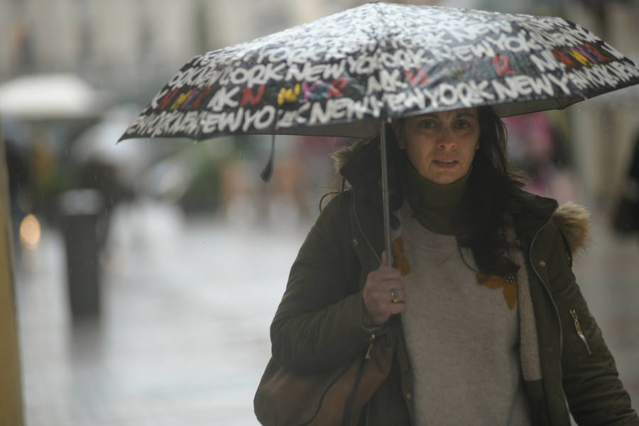 Fotos: Lluvia y viento en Valladolid