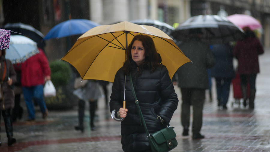 Fotos: Lluvia y viento en Valladolid