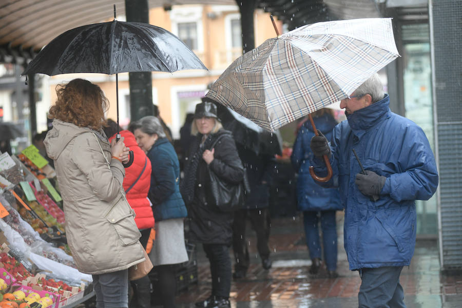 Fotos: Lluvia y viento en Valladolid