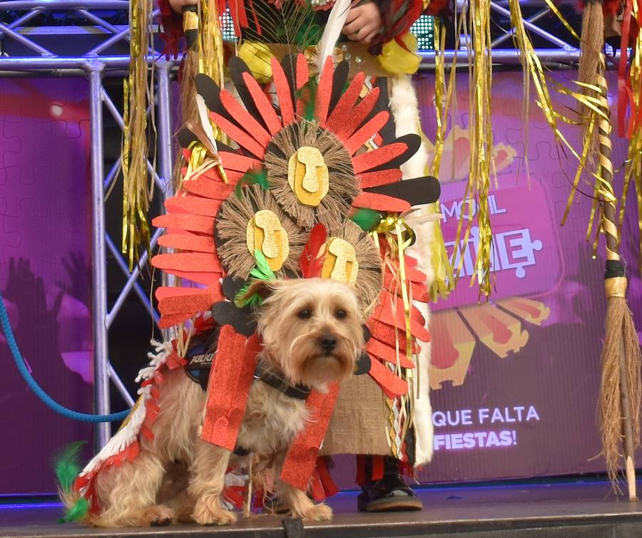 Fotos: Las mascotas de Aguilar también viven el Carnaval