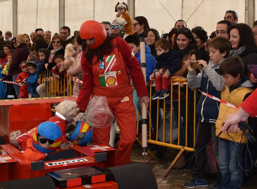 Fotos: Las mascotas de Aguilar también viven el Carnaval