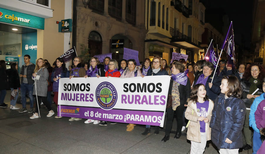 Fotos: Palencia se manifiesta en el Día de la Mujer