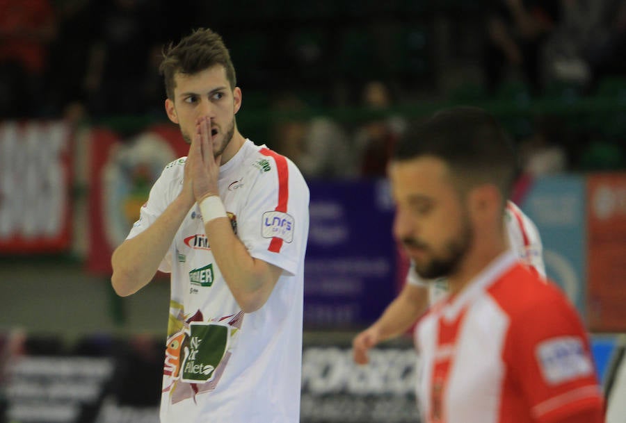 Fotos: Naturpellet Segovia - Jimbee Cartagena