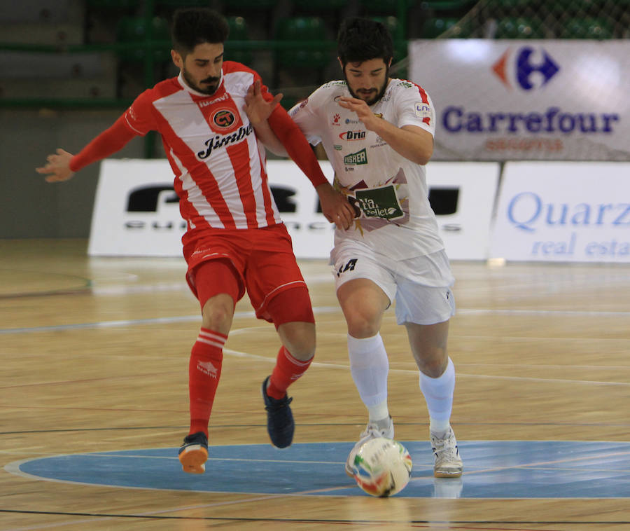 Fotos: Naturpellet Segovia - Jimbee Cartagena