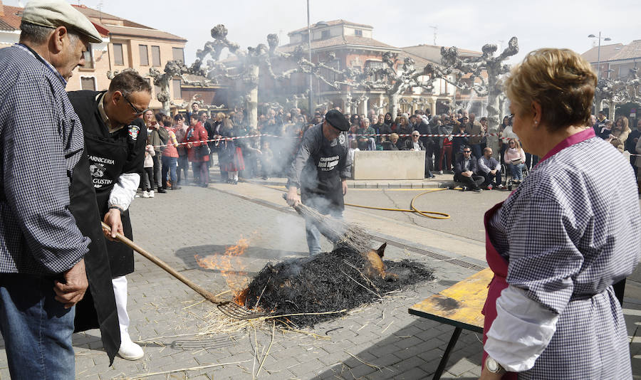 Fotos: Villada celebra su tradicional matanza