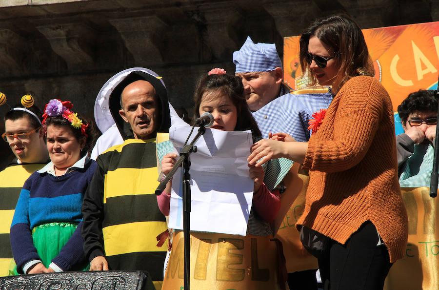 Fotos: Domingo de Piñata en Segovia