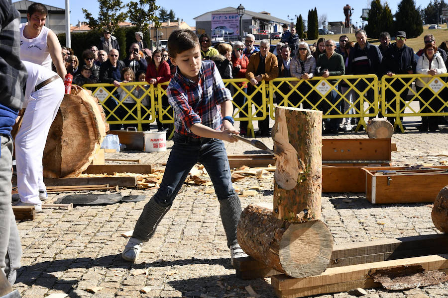 Fotos: Fiesta de los Gabarreros de El Espinar