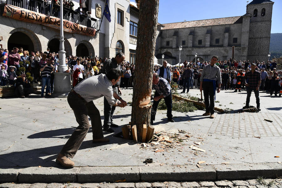 Fotos: Fiesta de los Gabarreros de El Espinar