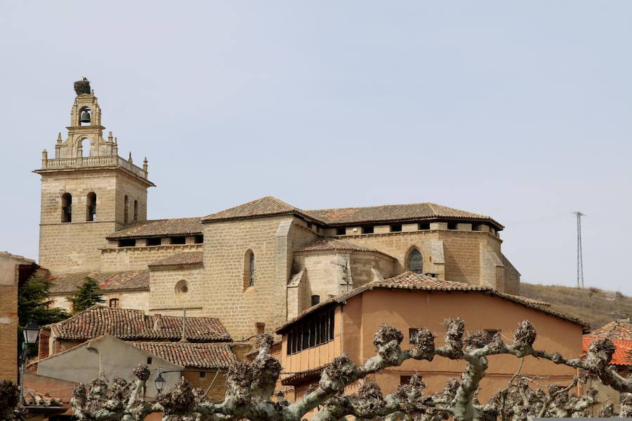 Fotos: Fiesta de Santo Tomás en Villamediana