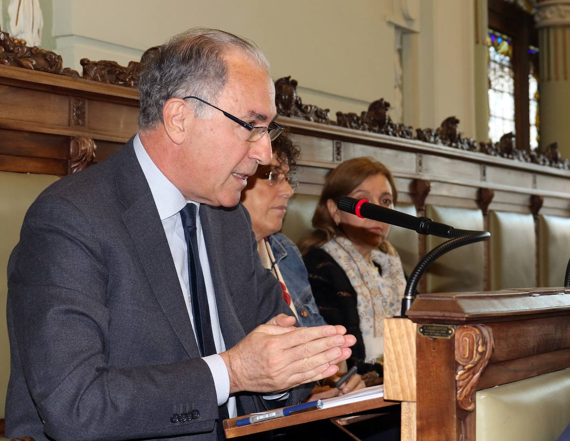 Fotos: Pleno en el Ayuntamiento de Valladolid