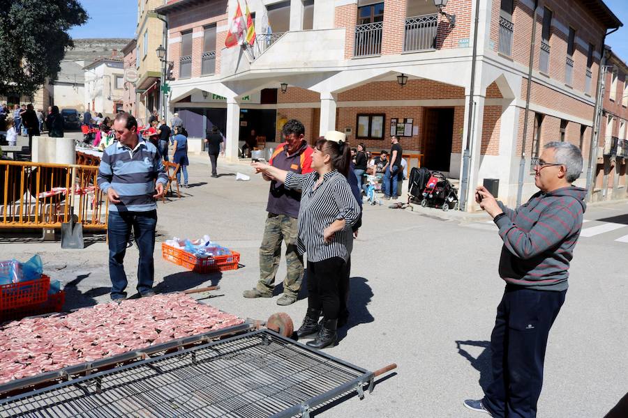 Fotos: Fiesta de la Matanza en Castrillo de Don Juan