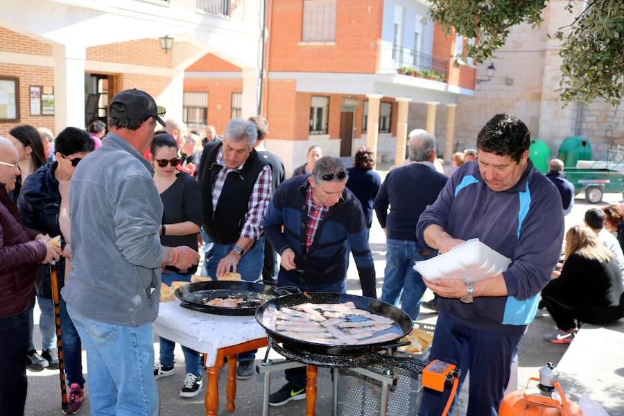 Fotos: Fiesta de la Matanza en Castrillo de Don Juan