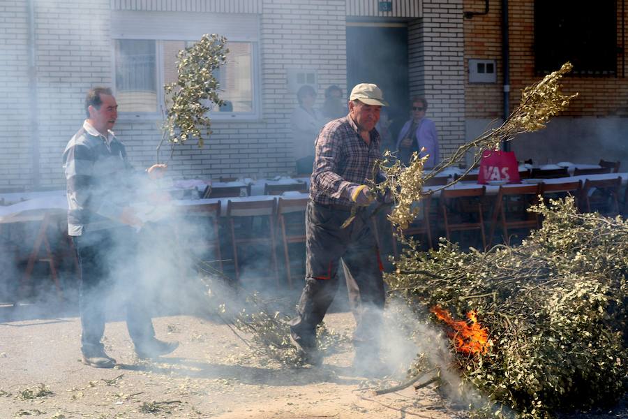 Fotos: Fiesta de la Matanza en Castrillo de Don Juan