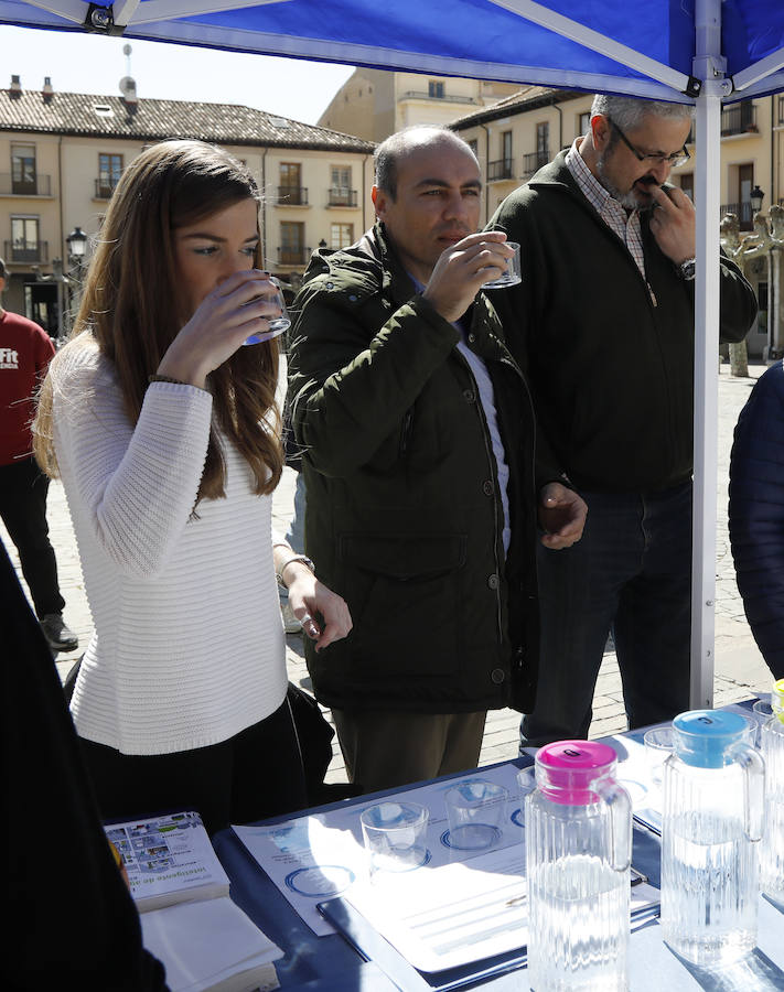 Fotos: Palencia se implica en el Día Mundial del Agua
