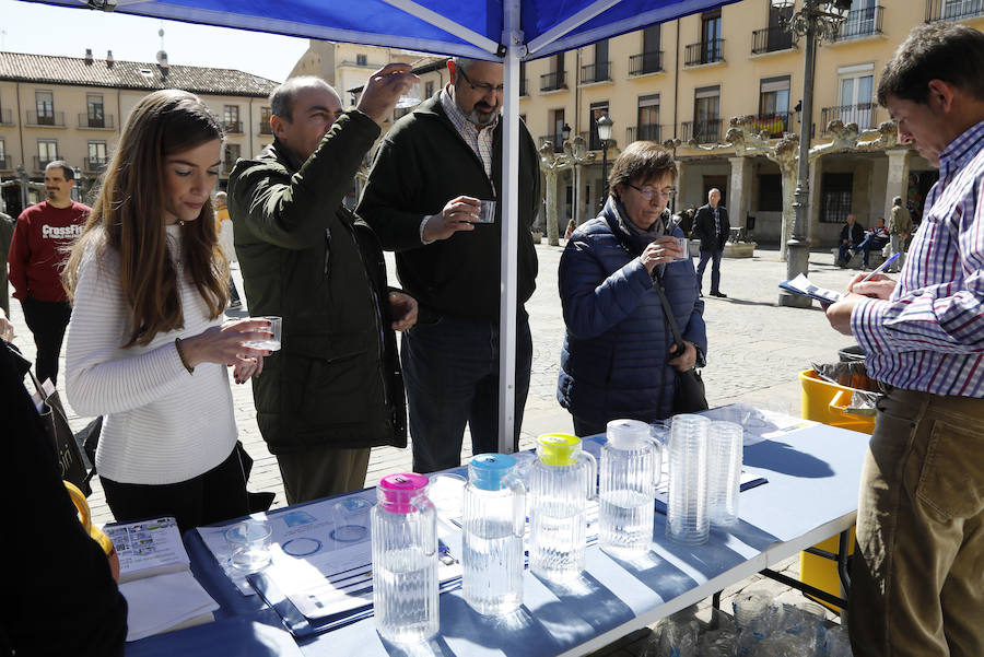Fotos: Palencia se implica en el Día Mundial del Agua