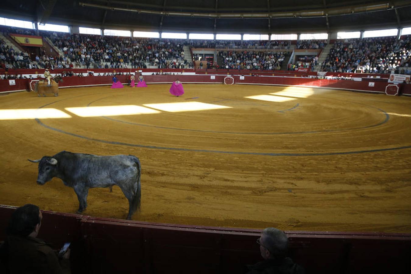 Corrida toros en la plaza vallisoletana de La Flecha (Arroyo de la Encomienda).