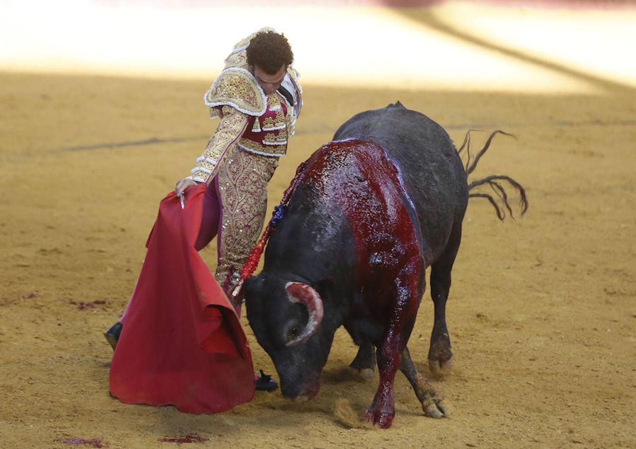 Corrida toros en la plaza vallisoletana de La Flecha (Arroyo de la Encomienda).