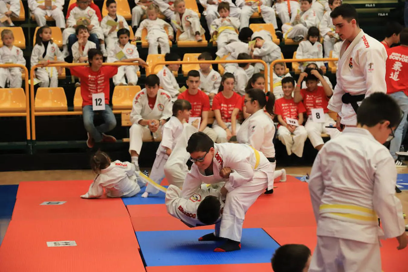 VI Torneo Doryoku de judo en Salamanca